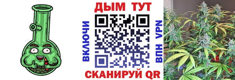 магазин  наркотиков  Сычёвка  ссылка на мегу как войти  Конопля марихуана 